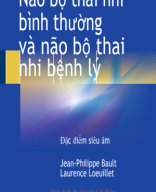 The Normal and Pathological Fetal Bra... _Bản dịch hoàn thiện.pdf