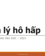 Sinh lý hô hấp.pdf