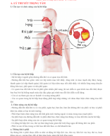 CHỦ ĐỀ 5. HỆ HÔ HẤP Ở NGƯỜI.docx