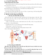 CHỦ ĐỀ 6. HỆ BÀI TIẾT Ở NGƯỜI.docx