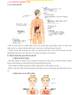 CHỦ ĐỀ 8. HỆ NỘI TIẾT Ở NGƯỜI.docx