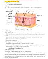 CHỦ ĐỀ 9. DA VÀ ĐIỀU HÒA THÂN NHIỆT Ở NGƯỜI.docx