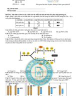 6. ĐỀ VIP 6 - PHÁT TRIỂN ĐỀ MINH HỌA MÔN SINH 2025 - T2.Image.Marked.pdf