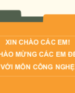 BÀI 1 NGHỀ TRỒNG TRỌT Ở VIỆT NAM.pptx