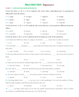 HS - PRACTICE TEST Expansion 4.docx