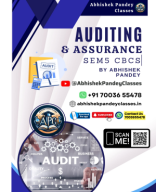 Audit Sem 5 APC Book.pdf