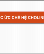 Thuốc ức chế hệ cholinergic.pdf