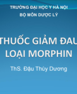 Thuốc giảm đau loại morphin.pdf