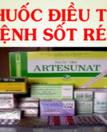 Thuốc điều trị bệnh sốt rét.pdf