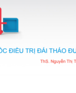 Thuốc điều trị đái tháo đường.pdf