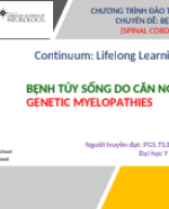 5. Nguyễn Lê Trung Hiếu - Bệnh tủy do di truyền.pdf