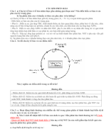 phần 5 PHÂN BÀO. CÂU HỎI.docx