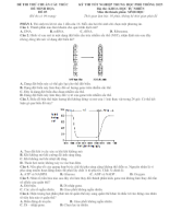 Đề thi thử TN THPT 2025 - Cấu trúc mới - Môn Sinh Học - Đề 5 - File word có lời giải.docx