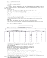 4. Chuyên đề các vùng kinh tế.doc