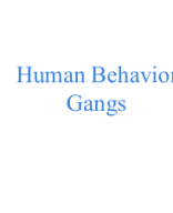 Human Behaviour & Gangs New.pptx