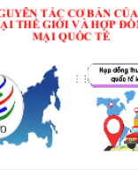 3_KNTT_K12_Bài 16_Tổ chức thương mại WTO.ppt