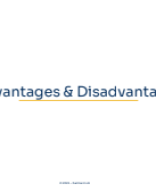 04. Advantages and Disadvantages.pdf