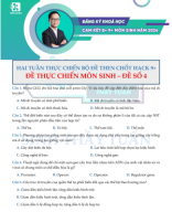 (Đề) Đề ôn tập học kì I số 4 [2 tuần thực chiến bộ đề then chốt hack 9+].pdf