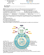 11. ĐỀ VIP 11 - PHÁT TRIỂN ĐỀ MINH HỌA MÔN SINH 2025 - T4.Image.Marked - 1.pdf