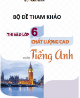 DE THI THU CAC TRUONG VAO 6 - THAY BUI VAN VINH.docx