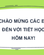 BÀI 19. PHƯƠNG TRÌNH ĐƯỜNG THẲNG.pptx