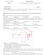 ĐỀ SỐ 7 - BÁM SÁT ĐỀ MINH HỌA BGD NĂM 2025 - MÔN HÓA HỌC.docx