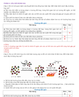 PHẦN II CÂU HỎI ĐÚNG SAI THUYẾT TIẾN HÓA TỔNG HỢP HIỆN ĐẠI - PHẦN I - GV.docx