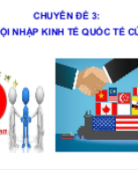 KNTT_K12_CHUYÊN ĐỀ 3_Việt Nam trong tiến trình hội nhập kinh tế quốc tế.ppt