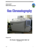 Gas Chromatography MSA.pdf