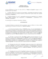 MODIFICACION AL TITULO DE CONCESION.pdf