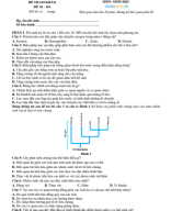 10. ĐỀ VIP 10 - PHÁT TRIỂN ĐỀ MINH HỌA MÔN SINH 2025 - H4.pdf