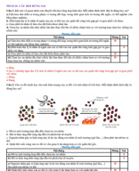 PHẦN II CÂU HỎI ĐÚNG SAI THUYẾT TIẾN HÓA TỔNG HỢP HIỆN ĐẠI - PHẦN I - GV.pdf