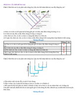 PHẦN II. CÂU HỎI ĐÚNG SAI - TIẾN HÓA LỚN VÀ CÂY PHÁT SINH CHỦNG LOẠI - GV.pdf