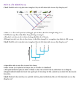 PHẦN II. CÂU HỎI ĐÚNG SAI - TIẾN HÓA LỚN VÀ CÂY PHÁT SINH CHỦNG LOẠI - HS.pdf