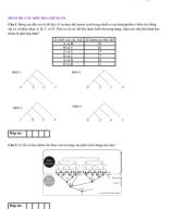 PHẦN III . CÂU HỎI TRẢ LỜI NGẮN - TIẾN HÓA LỚN VÀ CÂY PHÁT SINH CHỦNG LOẠI - HS.pdf