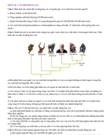 PHẦN II . CÂU HỎI ĐÚNG SAI - SỰ PHÁT SINH SỰ SỐNG, PHÁT SINH LOÀI NGƯỜI - HS.pdf