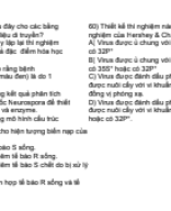 Di Truyền.pdf