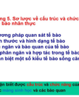 2024 L4 Cấu trúc tế bào - Trao đổi chất qua màng.pdf