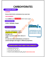 CARBOHYDRATES.pdf