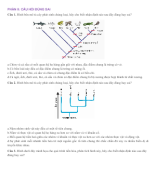 PHẦN II. CÂU HỎI ĐÚNG SAI - TIẾN HÓA LỚN VÀ CÂY PHÁT SINH CHỦNG LOẠI - HS.docx