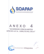 ANEXO IV, MODIFICATORIO TÍTULO DE CONCESIÓN.pdf