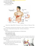 CHỦ ĐỀ 3. HỆ TIÊU HÓA Ở NGƯỜI.docx