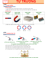 Chủ đề 1 TỪ TRƯỜNG.docx