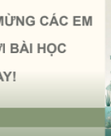 Bài 22. Tiến hoá lớn và quá trình phát sinh chủng loại.pdf