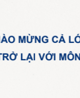 Bài 23. Môi trường và các nhân tố sinh thái.pdf