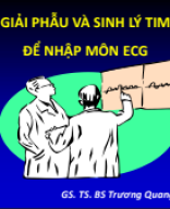 Nhập môn ECG, giải phẫu và sinh lý tim.pdf