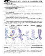 Bài 5. Nhiễm sắc thể và cơ chế di truyền nhiễm sắc thể (LT).pdf