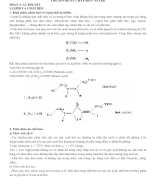 Chuyên Đề 63 - CHẤT BÉO- ESTER- LÊ QUẾ- VĨNH PHÚC.docx