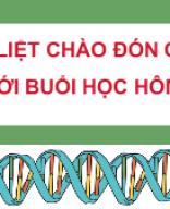 PPT_KHTN9_SinhHoc_KNTT_ Bài 38. Nucleic acid và gene.pptx