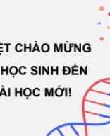 PPT_KHTN9_SinhHoc_KNTT_ Bài 40. Dịch mã và mối quan hệ từ gene đến tính trạng.pdf